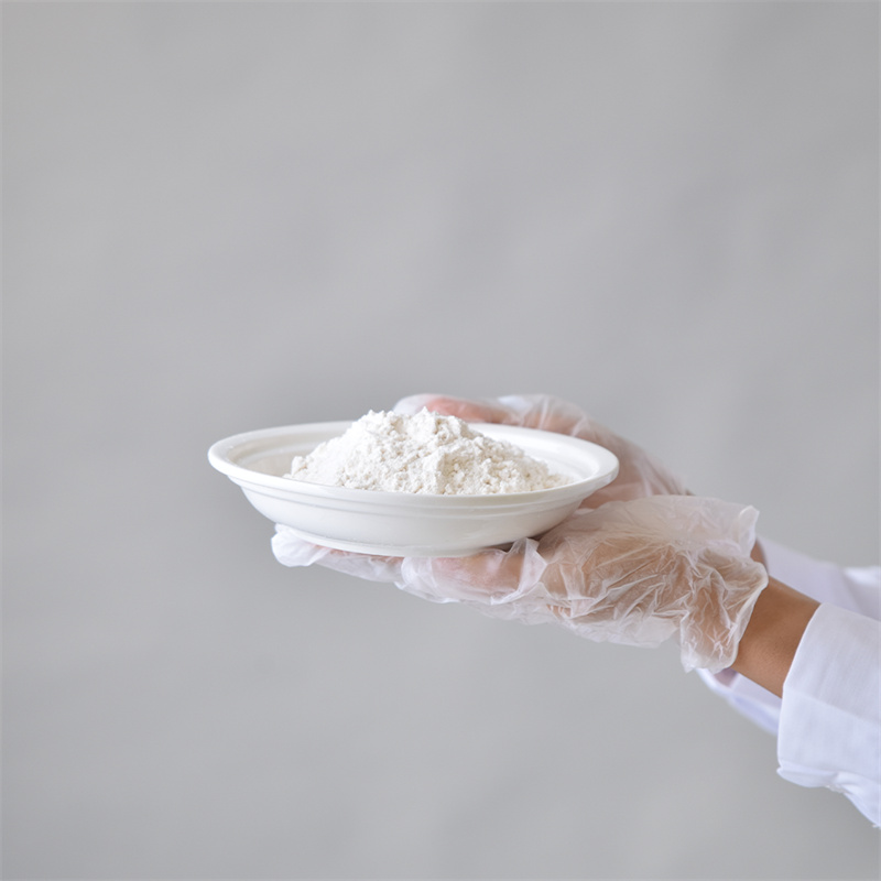 I-Adenosine 5â-triphosphate disodium salt CAS 987-65-5